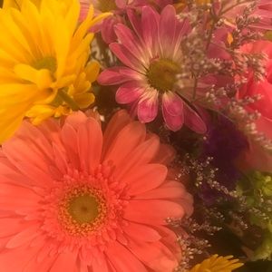 Meet your Posher, Ann